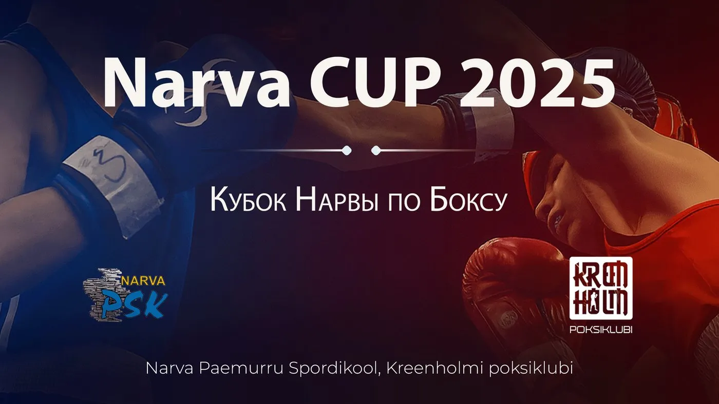 Promotional Materials for a Boxing Club